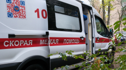 Мужчина забил до смерти жену и избил пасынка в Москве