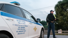 Автоэскперт объяснил, обязаны ли пассажиры предъявлять документы ДПС