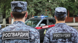Сбежавшего из колонии-поселения преступника задержали в Санкт-Петербурге