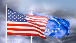 Продвижение вперед: в Совфеде отметили важность контактов с США и ЕС по Украине