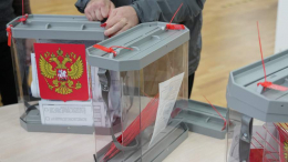 В МИД РФ заявили о попытках стран Балтии помешать голосованию на выборах в ГД