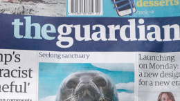 Бывший журналист The Guardian признался в фальсификации интервью с иранкой