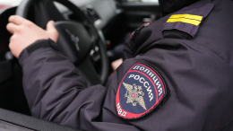 Убийство 12-летнего мальчика в Подмосковье оказалось спланированным