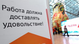 Рынок труда остыл? В каких сфера вакансий стало больше