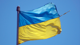 Украина не получила от Эстонии ни одного доллара с начала СВО