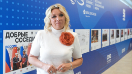Захарова указала на ожидание Германией повода для призывов к санкциям против России