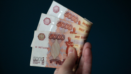 В России работают над новыми мерами поддержки для малого и среднего бизнеса