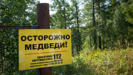 Тропа испытаний: в Забайкальском нацпарке закрыли маршруты из-за медведей