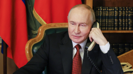 Путин и Трамп обсудили поездки Уиткоффа и Кушнера в Москву и Киев