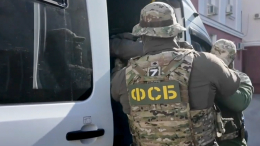 Сотрудники ФСБ пресекли незаконный оборот оружия в 43 регионах России