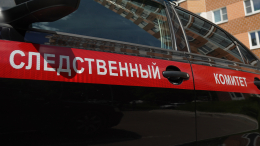 Тела семилетних детей обнаружены в петербургской квартире