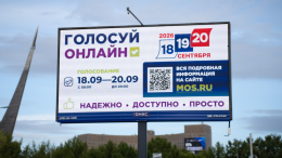 Россиянам напомнили о сроке подачи заявки на онлайн-голосование