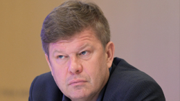 «Здоровье человека важнее всего»: Губерниев высказался о медвежьей опасности