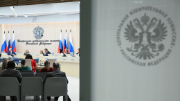 «Отличаются от всех предыдущих»: Памфилова об уникальности предстоящих выборов