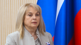 Памфилова сочла термин «недружественные» слишком мягким для ряда стран