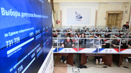 Памфилова: представитель системной партии пытался нарушить работу ДЭГ