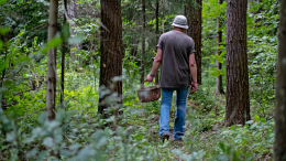 «Грибов наелся»: пенсионер восемь суток блуждал по лесу из-за сбоя компаса