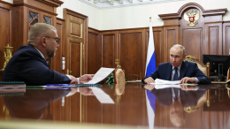 Путин поручил ускорить модернизацию пунктов пропуска на границе