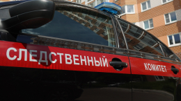 В Новосибирске начали проверку из-за нападений девочек-подростков на жителей