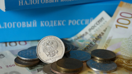В МВД заявили о двукратном росте налоговых преступлений физлиц в 2026 году