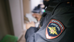 «Не ищите, не найдете»: что известно о пропавшей Софии из Вологодской области