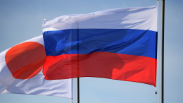 В МИД заявили о продолжающейся деградации отношений России и Японии