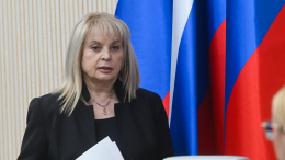 Памфилова: партии провели избирательную кампанию успешно