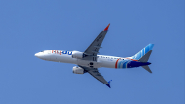 Самолет с политическим окрасом? Был ли инцидент с рейсом Flydubai провокацией