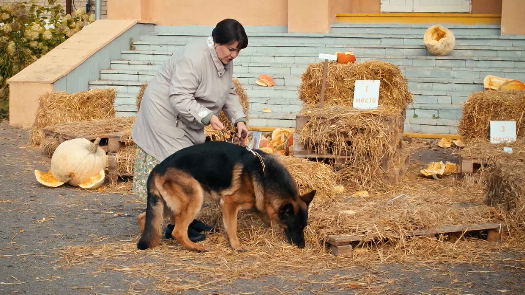 Далеко до Москвы