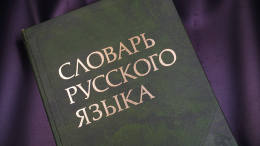 Учивший русский на заседании южнокорейский депутат получил повышение