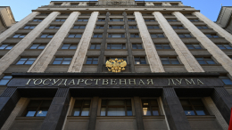 Каждый десятый депутат новой Думы имеет опыт работы в зоне СВО