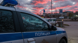 Дочь убитой москвички нашли мертвой в гараже сожителя матери