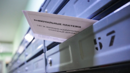 Коммуналка вдвое дешевле: кто в России имеет право на льготы