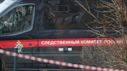 СК показал, что нашли в гараже обвиняемого в убийстве Церетели