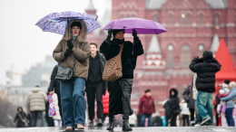 Кончилось лето: какая погода ждет Москву 14 октября