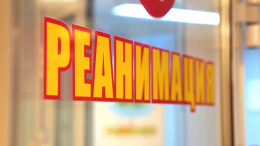 Кома и рваные раны: в Краснодарском крае собаки напали на 12-летнего ребенка