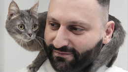 Ласки имеют значение? У кошек и их владельцев обнаружили гормональную связь