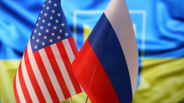 Новый план из Осло: что Уиткофф привезет на переговоры в Петербург