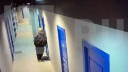 Вебкам-модель в Москве пригласила экс-возлюбленного в квартиру перед убийством — видео