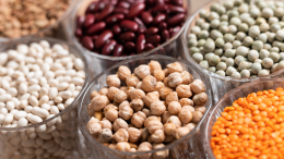 Разнообразие — важно: какие растительные продукты полезны для здоровья почек