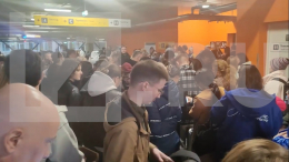 Обстановка в аэропорту Шереметьево после объявления тревоги: видео