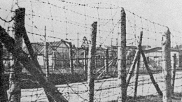 «Вся Карелия была как один сплошной концлагерь»: свидетельство историка