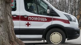 Дрон ВСУ целенаправленно ударил по поезду в Брянской области: погиб машинист