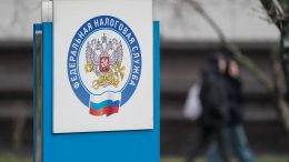 Не пропустить срок: когда и какие налоги нужно уплатить за 2025 год