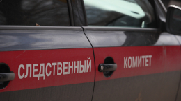 Тело ребенка спрятали под полом: мать и сын истязали пятерых детей