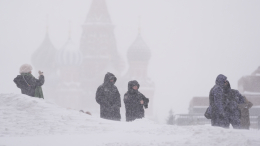 Зима близко: первый снег накроет Москву уже на следующей неделе