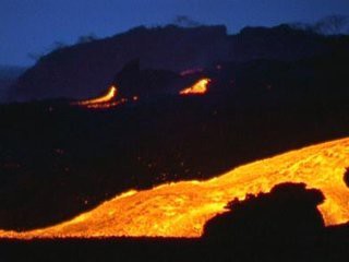 «Драконы Галапагоса»